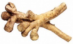 Image: FAD-ffo23928, Horseradish Root Cut Out, License: Rights managed, Model Release: No or not aplicable, Property Release: No or not aplicable, Credit line: profimedia.cz, Food and drinks