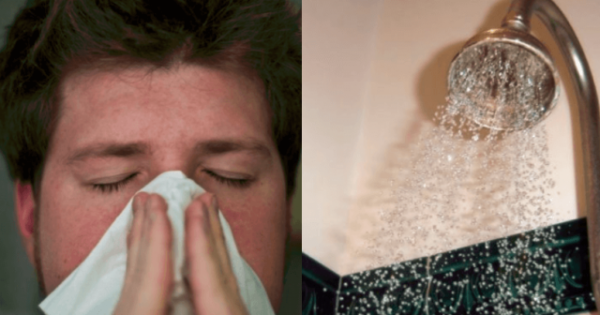 Kašel, plný nos, něco na Vás leze? Vložte si do sprchy toto a můžete zapomenout na drahé léky z lékárny!