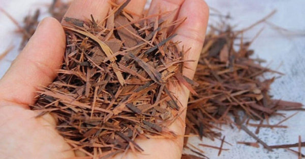 Objevte ten nejsilnější antioxidant na světě: Zabrání nejen křečovým žilám, ale tělo vyčistí do pár hodin