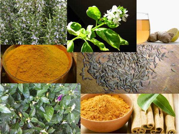 Sedm koření, která pomohou i v boji s rakovinou