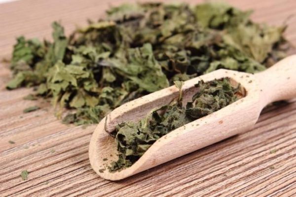 Tato královna léčivých bylin je účinná proti desítkám, možná i stovkám onemocněním