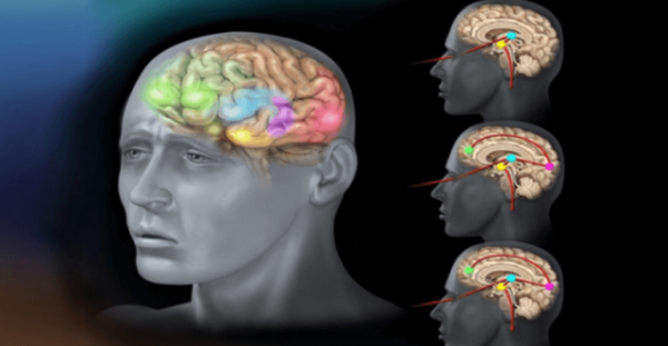 Stres způsobuje deprese, nadváhu a nemoci. Těchto 10 bylinek je lepších než léky